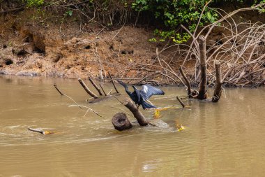 Cao Negro Wetland, kuş ve vahşi yaşamı izlemek için en iyi yer.