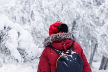 Karla kaplı ormanda yürüyen yürüyüşçünün dikiz görüntüsü