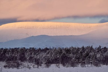 Karlı dağlar, kışın bir ormanın üzerinde gün doğumunda pembe parlıyordu.