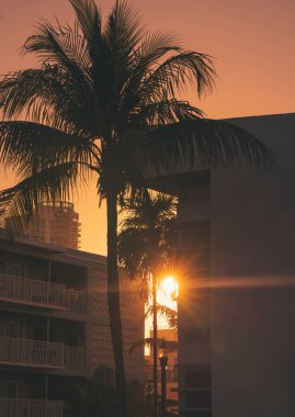 Miami Florida sahilinde gün batımı