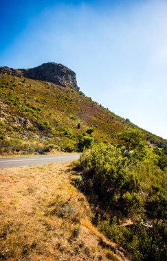 Hillside, otlar, çıkıntılar, dolambaçlı yol, güneşli, açık mavi gökyüzü.