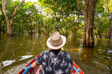 Genç gezgin adam mangrov yağmur ormanlarında kano kullanıyor.