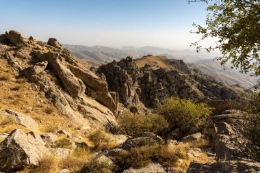Önünde ağaç olan kayalık bir dağın tepesi.