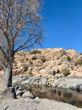 Yansıtıcı su gövdesi ve yapraksız ağaç ile kayalık çöl manzarası