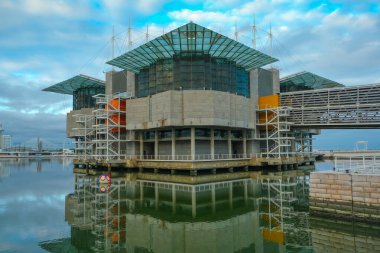 Lizbon Okyanusu Avrupa 'nın en büyük kapalı akvaryumlarından biridir.
