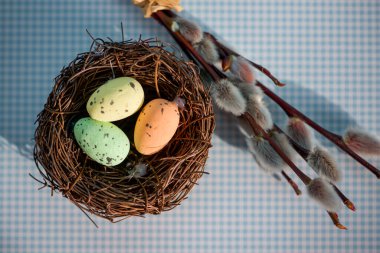 Mavi bir sırtüstü bir yuvadaki renkli paskalya yumurtaları