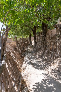 Yanı çitlerle çevrili bir ormanın içinden bir patika.