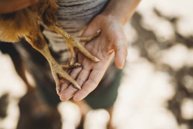 Yazın elinde tavuk bacağı tutan çocuk ellerini kapat.