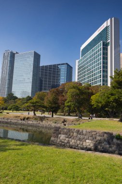 Hamarikyu Bahçelerinde sonbahar. Chuo Ward 'da halka açık bir park.