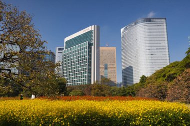 Hamarikyu Bahçelerinde sonbahar. Chuo Ward 'da halka açık bir park.