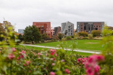 Ön planda yeşil çimen ve güller olan modern konut binaları