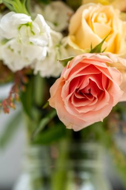 Çiçek aranjmanında Şeftali Gülü 'nün detaylı portresi.