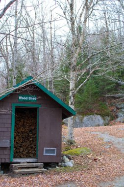 Woodshed in the forest filled with neatly stacked logs clipart