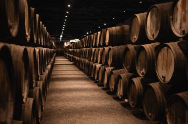 Klasik meşe fıçılarıyla Atmosferik Şarap Mahzeni