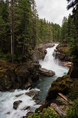 Dağ Şelalesi Rocky Nehri 'ne akıyor.