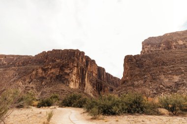 Santa Elena Kanyonu 'na giden tahta yol Big Bend Ulusal Parkı' nda.