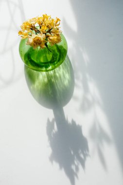 Kurumuş nergis çiçekleri, Beyaz Arkaplanda Yeşil bir vazoda