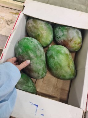 Mağazada mango meyvesine dokunuyorum.