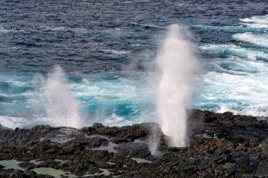 Galapagos Adaları Manzarası, Macera Hedefi
