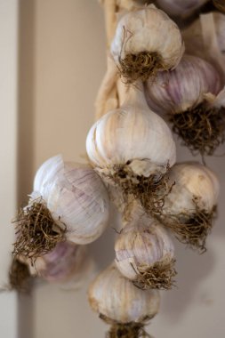 Sarımsak soğanlarını birbirine bağlayıp duvara asıyorlar..