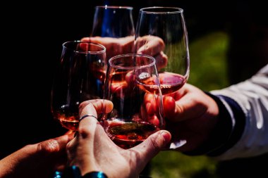 Üzüm bağında bir grup buzlu şarap.