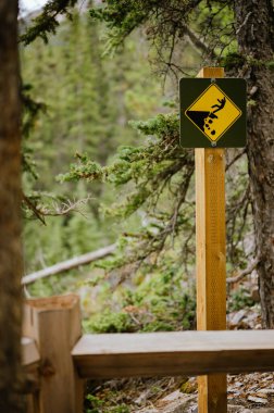 Canmore, Alberta 'da yürüyüş yolunda uçurum uyarısı.