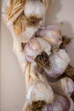 Sarımsak kafalar birbirine örülmüş ve duvarda asılı..