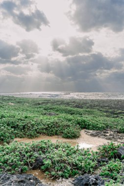Okinawa 'daki Cape Zanpa' da Bulutlar Arasında Güneş Işığı Işıldar