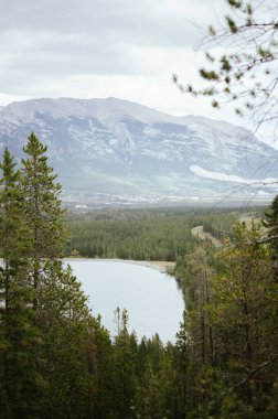 Canmore, Alberta 'daki Grassi Gölleri patikasının manzarası.