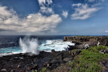 Galapagos Adaları Manzarası, Macera Hedefi
