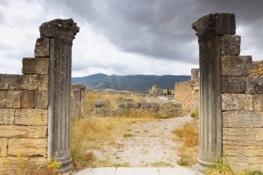 Roma şehri Volubilis 'in engin harabeleri, Meknes,