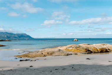 Okyanus sahili ve dağ dalgaları