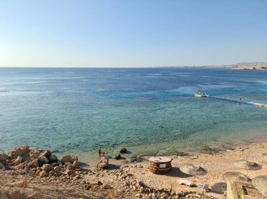 Deniz kıyısındaki kumsalda güneşlenirler