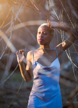 Siyah bir kadın gün batımında ağaç dallarına tutunur.