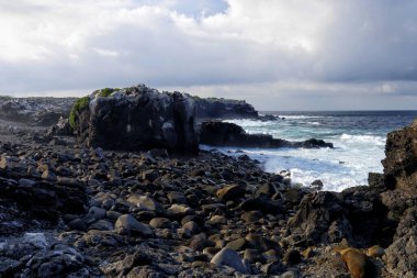 Galapagos Adaları Manzarası, Macera Hedefi