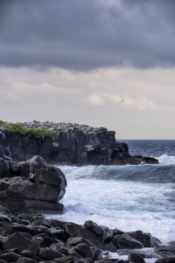Galapagos Adaları Manzarası, Macera Hedefi