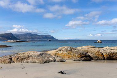 Okyanus sahili ve dağ dalgaları