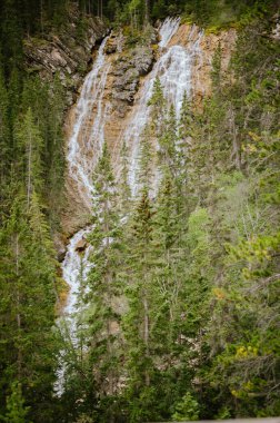 Canmore, Alberta 'daki Grassi Gölleri' nde çağlayan şelale.