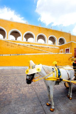 Izamal Meksika Sarı Şehir
