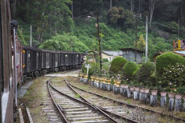 Sri Lanka 'daki ünlü eski tren.