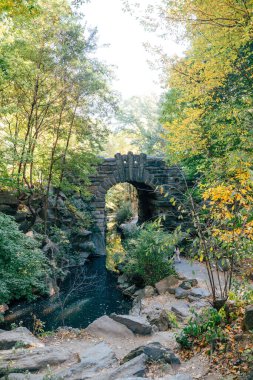 Central Park, New York City 'deki sakin suların üzerindeki manzara köprüsü.
