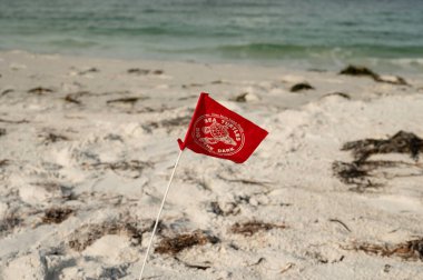 Florida sahilinde dalgalanan deniz kaplumbağası koruma bayrağı.