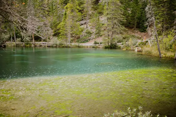 Canmore, Alberta 'daki Grassi Gölünde Turkuaz gölü.