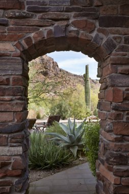 Taştan kemerli saguaro kaktüsü ve çöl manzarası.