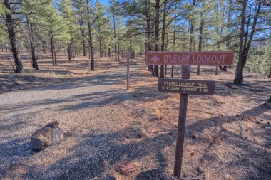 O 'Leary Tepesi Arizona İzi