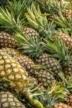 Meyve pazarında ananas rafları