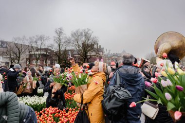 Amsterdam 'da Ulusal Lale Gününü Kutlayan Kalabalıklar