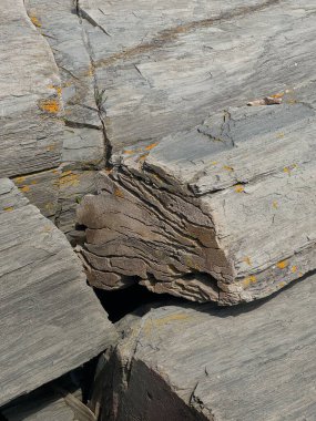 İki Işık Parkı, Cape Elizabeth 'te Phyllite kaya oluşumu.
