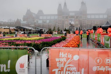 Amsterdam 'daki Museumplein' da Ulusal Lale Günü Kutlaması