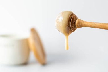 Bir bal ayı damlayan bal